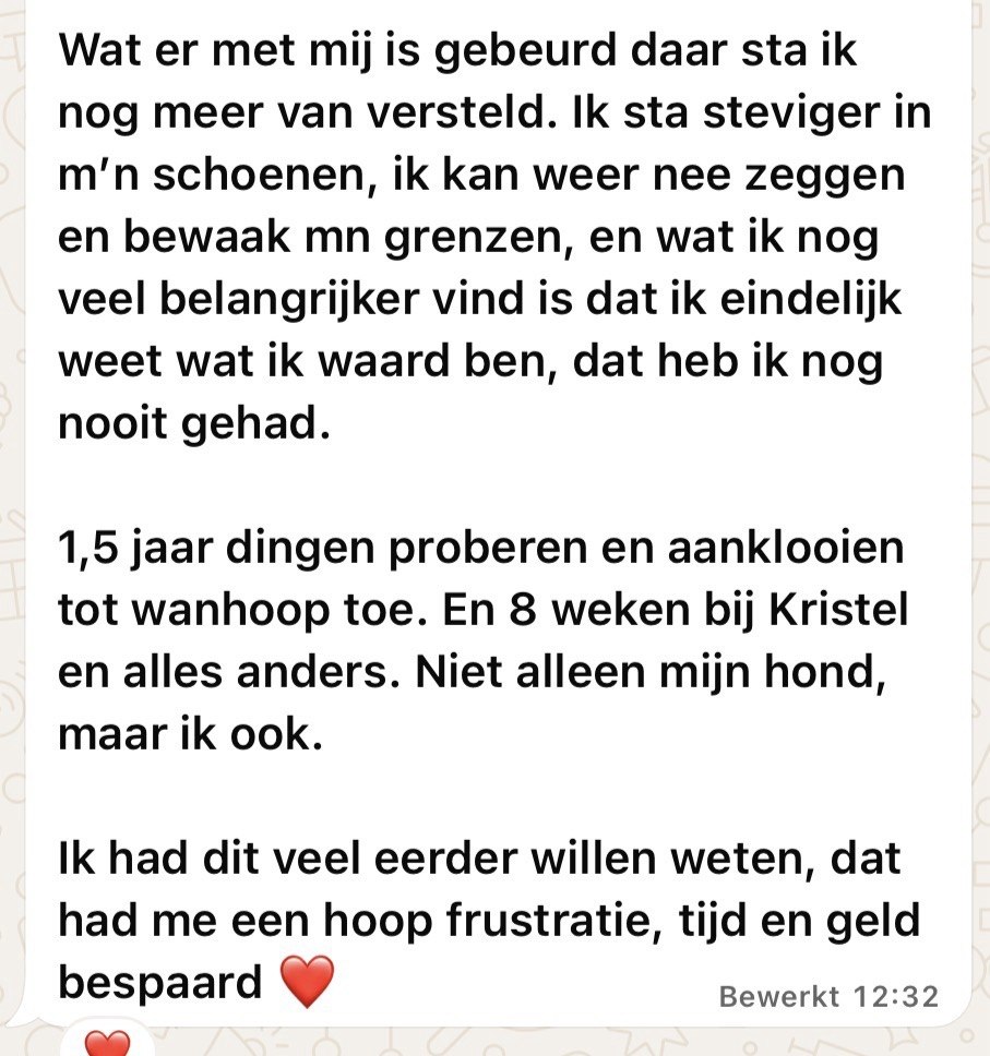 WhatsApp review versteld staan