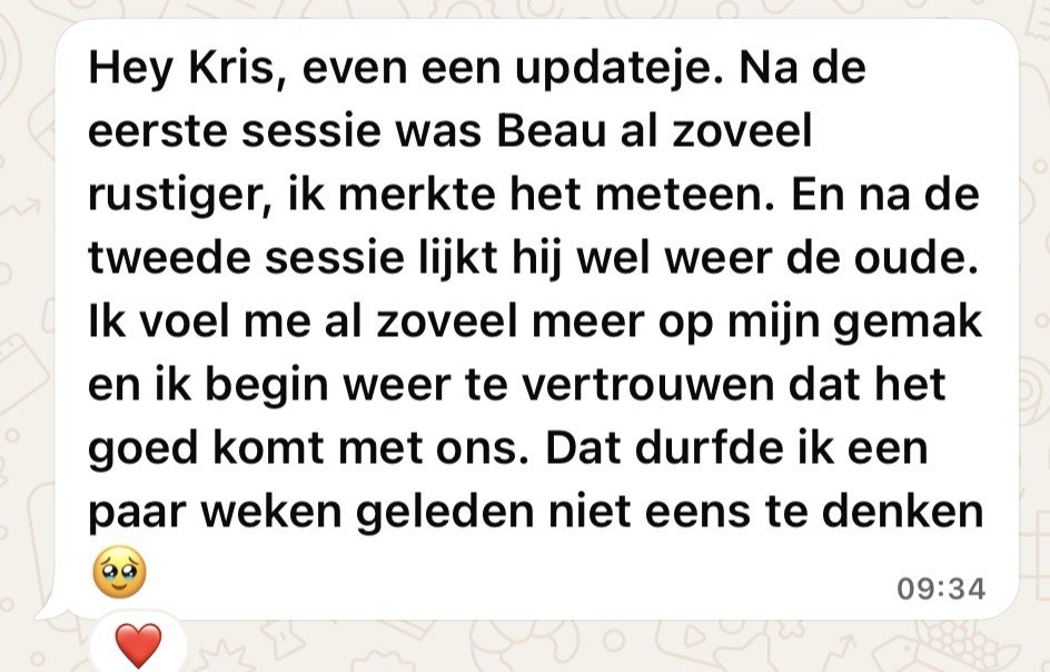 WhatsApp review Beau