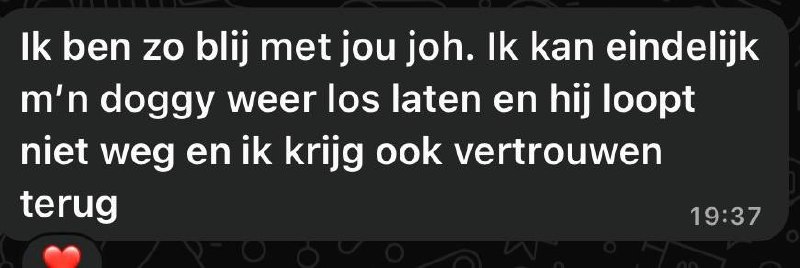 Review Birgitte