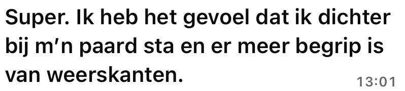 Review Birgitte