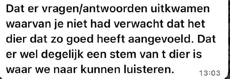 Review Birgitte