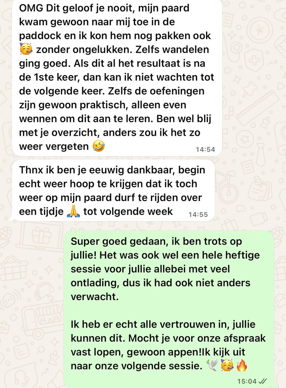 Review Birgitte